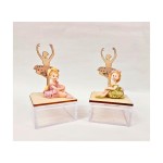 Ballerina resina con scatola plexi con dettagli legno. Ass 2. H 11